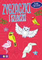 Książka Zygzaczki i szlaczki (różowe)